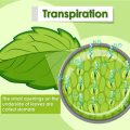 Biotechnology and Life Sciences: How to Get Started in America’s Fastest-Growing Science Fields