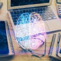 The Neuroscience of Emotional Intelligence: What Brain Science Reveals