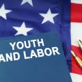 Visual Examples: Chronological and Skills-Based Resumes for American Job Applications