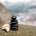 The Power of Mindfulness: Practical Techniques for Reducing Stress in the American Workplace