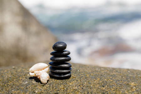 The Power of Mindfulness: Practical Techniques for Reducing Stress in the American Workplace