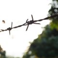 Navigating Office Politics Ethically: Building an Authentic Network Without Losing Integrity