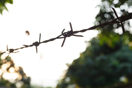Navigating Office Politics Ethically: Building an Authentic Network Without Losing Integrity