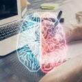 The Science of Focus: How to Train Your Brain for Deep Work in a Distracted World